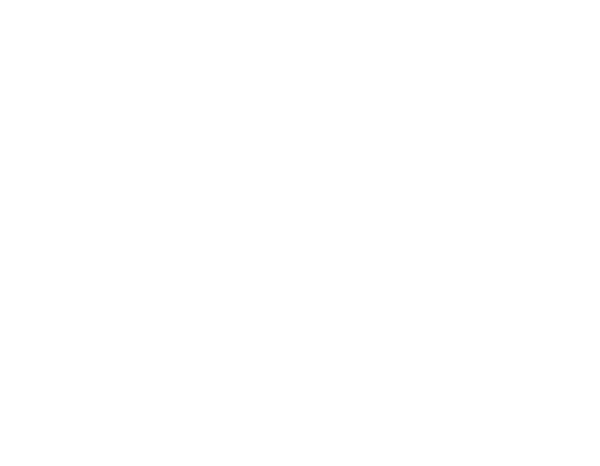 Anotações Pesquisa Global